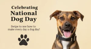 national dog day instagram captions